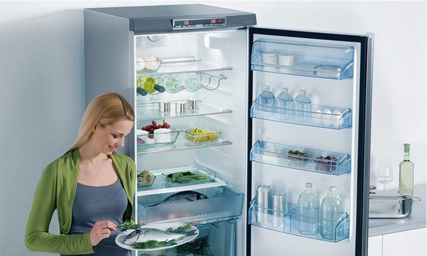 Как выбрать холодильник с системой No Frost