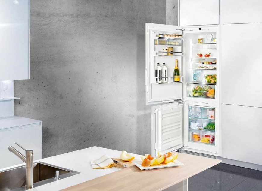 камеры холодильника